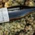 bottiglia di Trebbiano D'Abruzzo macerato sulla cassetta d'uva con i grappoli della Tenuta Trium di Notaresco a Teramo