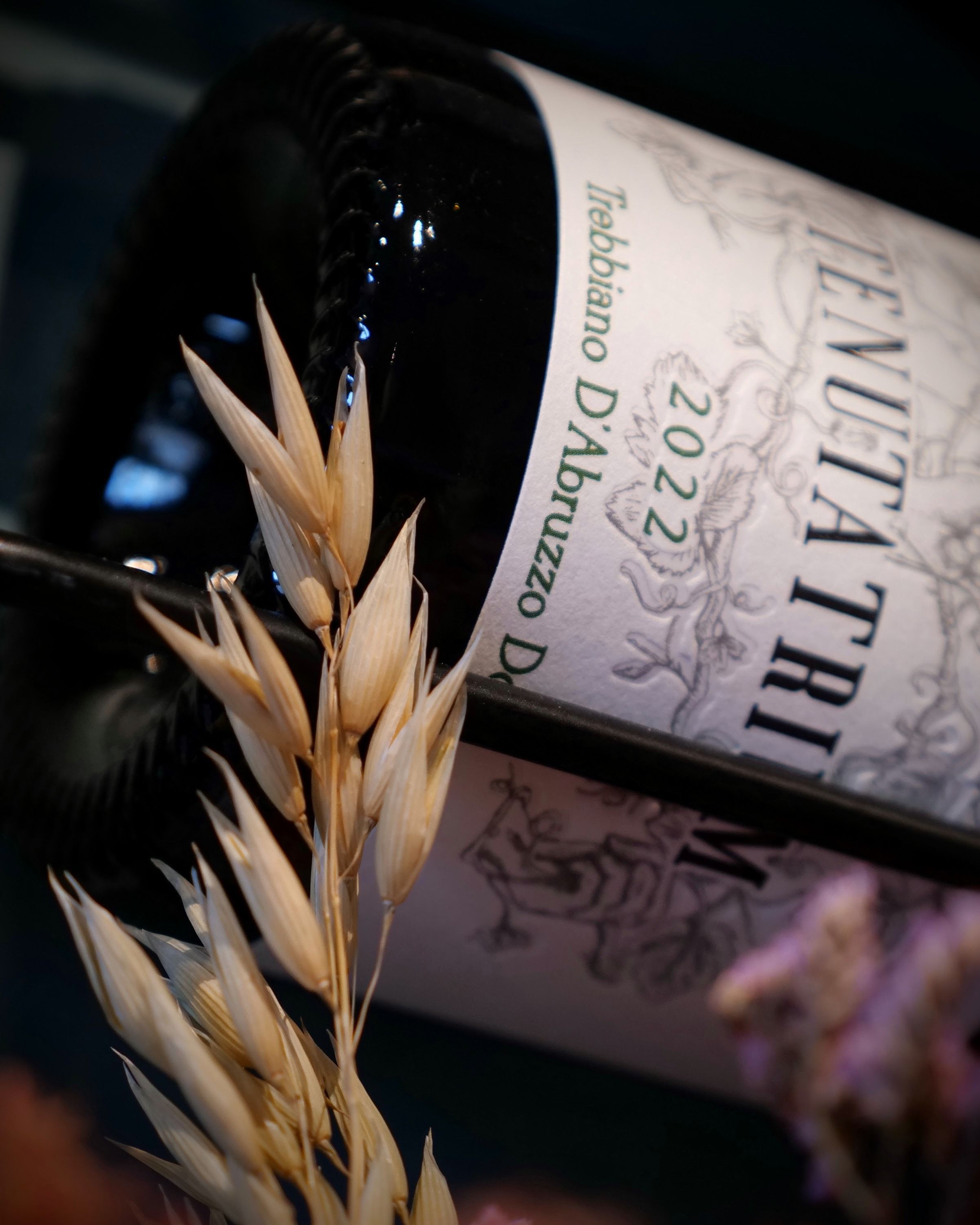 bottiglie di vino Agriturismo cena degustazione in cantina Tenuta Trium a Notaresco di Teramo