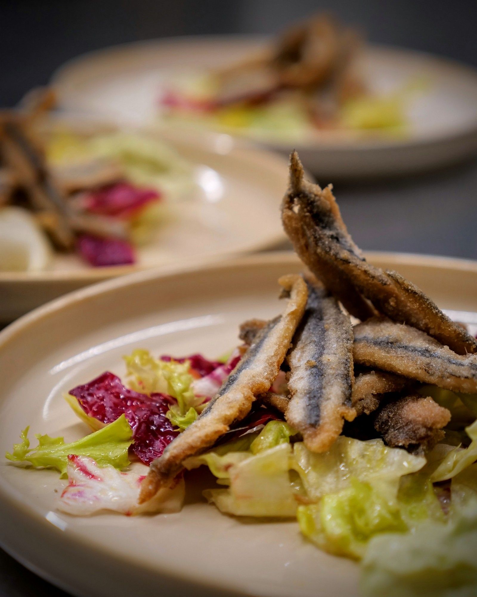 piatto alici fritte con insalata Agriturismo cena degustazione in cantina Tenuta Trium a Notaresco di Teramo