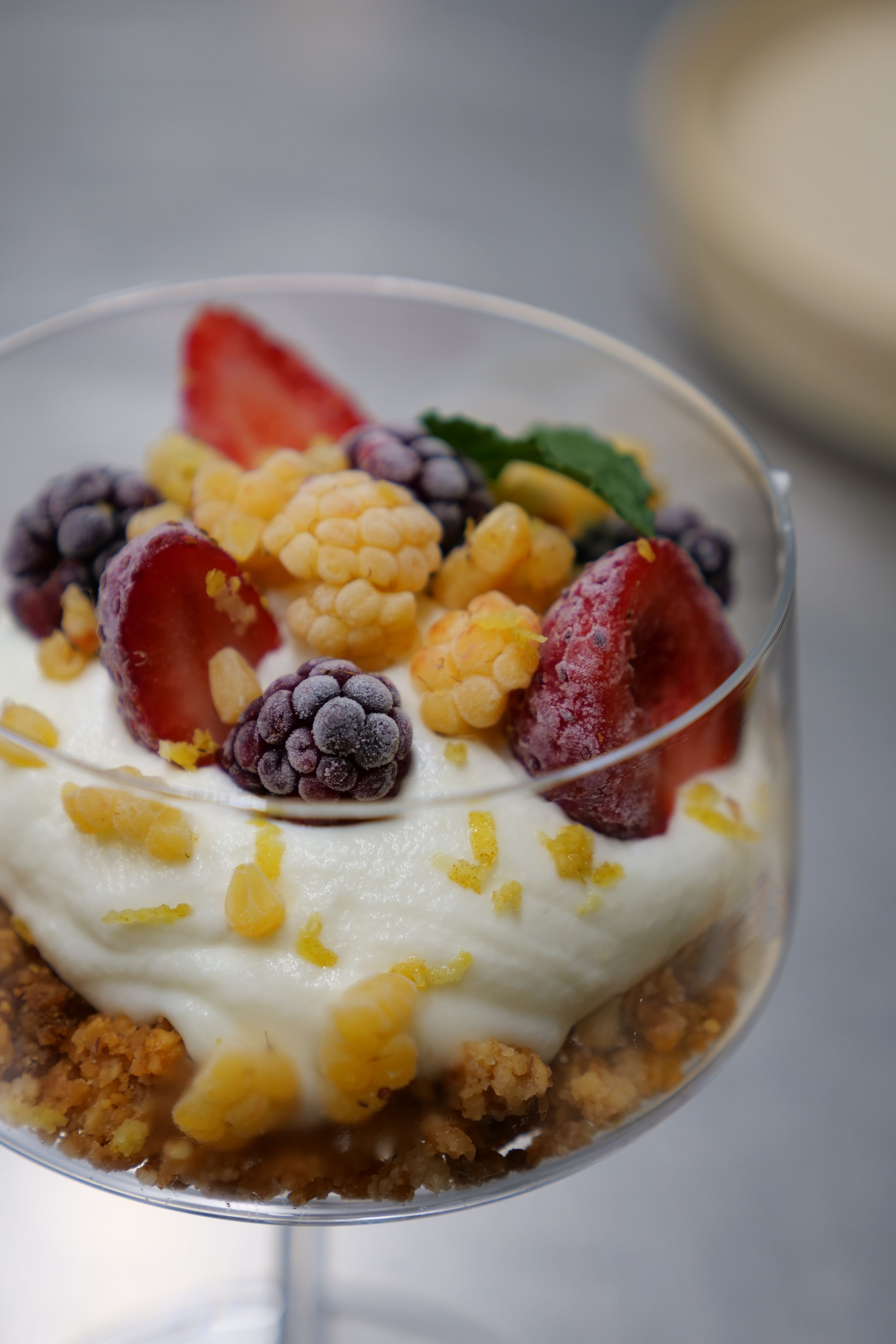 semifreddo dolce con frutti di bosco Agriturismo cena degustazione in cantina Tenuta Trium a Notaresco di Teramo