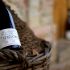 bottiglia sulla damigiana antica di Montepulciano D'Abruzzo DOC della Tenuta Trium di Notaresco a Teramo in Abruzzo