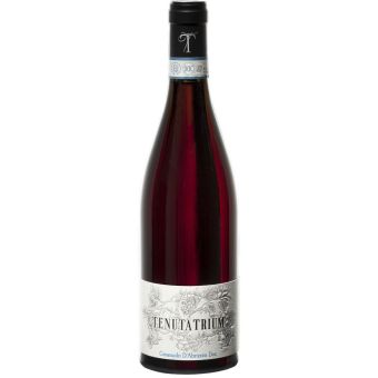 Cerasuolo d’Abruzzo DOC 2023