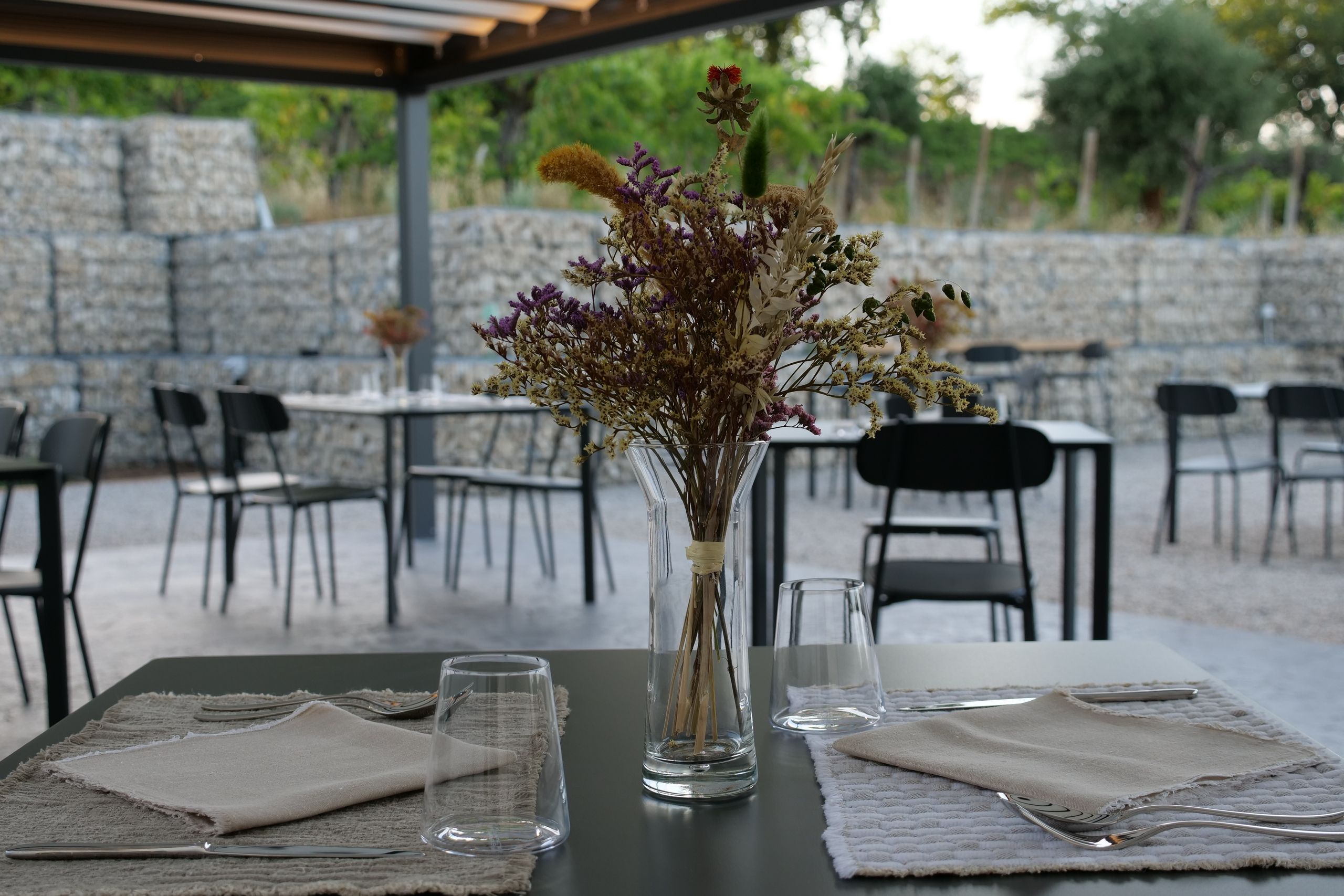 tavolo Agriturismo cena degustazione in cantina Tenuta Trium a Notaresco di Teramo