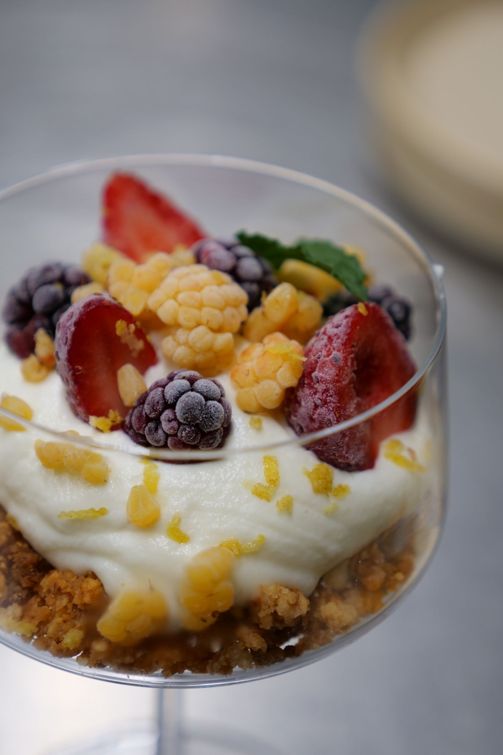 semifreddo dolce con frutti di bosco Agriturismo cena degustazione in cantina Tenuta Trium a Notaresco di Teramo