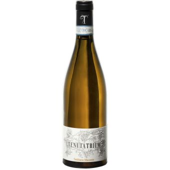 Trebbiano d’Abruzzo Macerato 2022