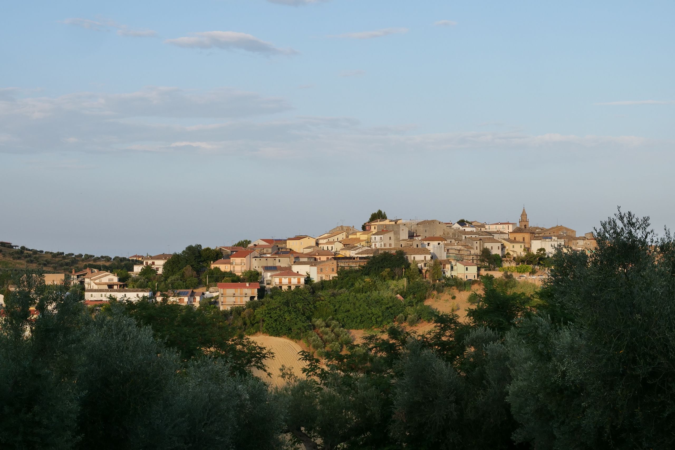 paesaggio Agriturismo cena degustazione in cantina Tenuta Trium a Notaresco di Teramo