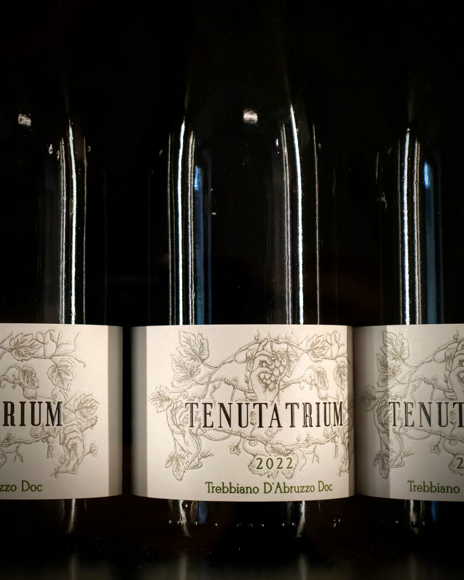 bottiglie Trebbiano Agriturismo cena degustazione in cantina Tenuta Trium a Notaresco di Teramo