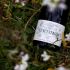 bottiglia nel prato con i fiori di Montepulciano D'Abruzzo DOC della Tenuta Trium di Notaresco a Teramo in Abruzzobottiglia-montepulciano-dabruzzo-doc-tenuta-trium-sul-prato-fiorito-notaresco-teramo-abruzzo