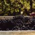 bottiglia bella cassa di legno di Montepulciano D'Abruzzo DOC della Tenuta Trium di Notaresco a Teramo in Abruzzo
