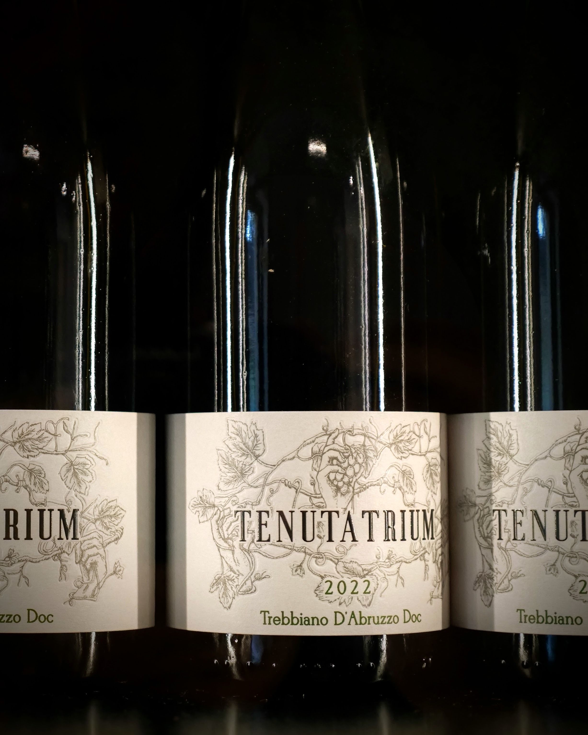 bottiglie Trebbiano Agriturismo cena degustazione in cantina Tenuta Trium a Notaresco di Teramo