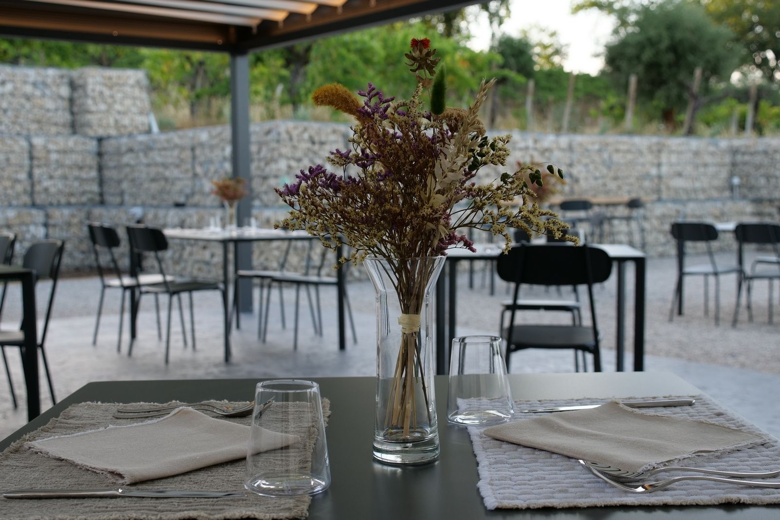 tavolo Agriturismo cena degustazione in cantina Tenuta Trium a Notaresco di Teramo